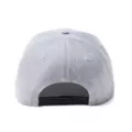 Rick and Morty Snapback Hat at Spencer's
