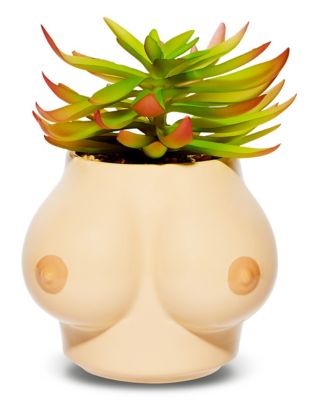 Boobs Planter