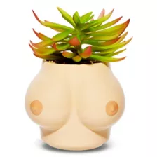 Boobs Planter at Spencer's