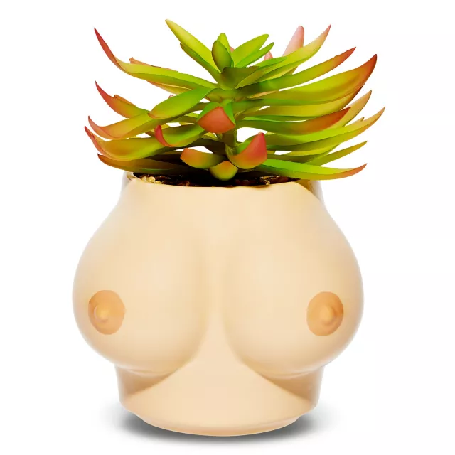 Boobs Planter at Spencer's