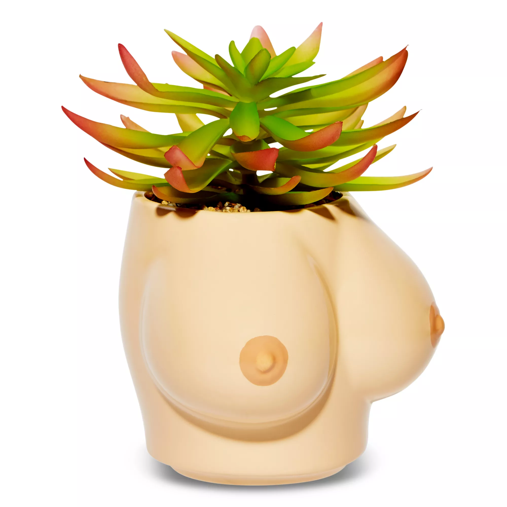 Boobs Planter at Spencer's