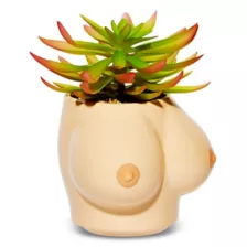 Boobs Planter at Spencer's