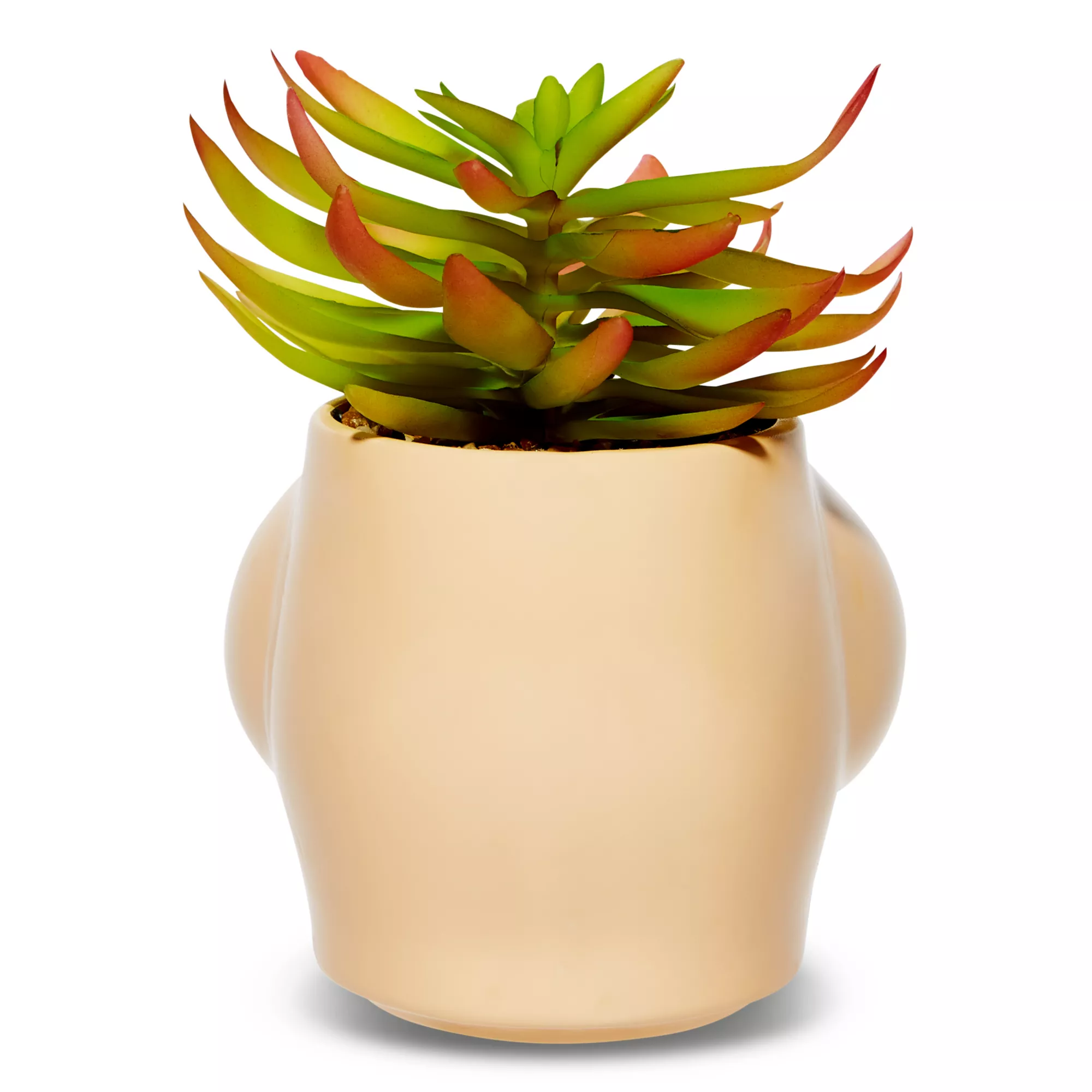 Boobs Planter at Spencer's