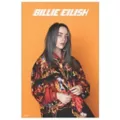 Billie Eilish Orange Poster at Spencer's