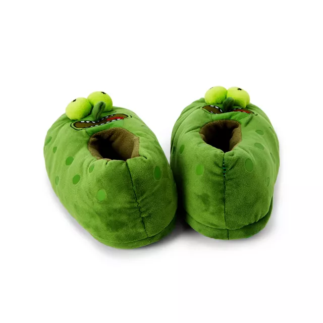Pickle Rick Slippers – Rick and Morty at Spencer's