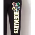 Hogwarts Pants - Harry Potter at Spencer's