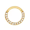 Goldtone CZ Hinged Hoop Nose Ring at Spencer's