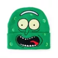 Pickle Rick Cuffed Beanie Hat – Rick and Morty at Spirit Halloween