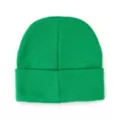 Pickle Rick Cuffed Beanie Hat – Rick and Morty at Spirit Halloween