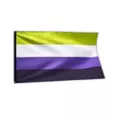 Nonbinary Pride Flag at Spencer's