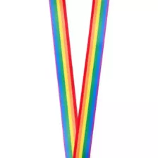 Team Pride Lanyard at Spencer's