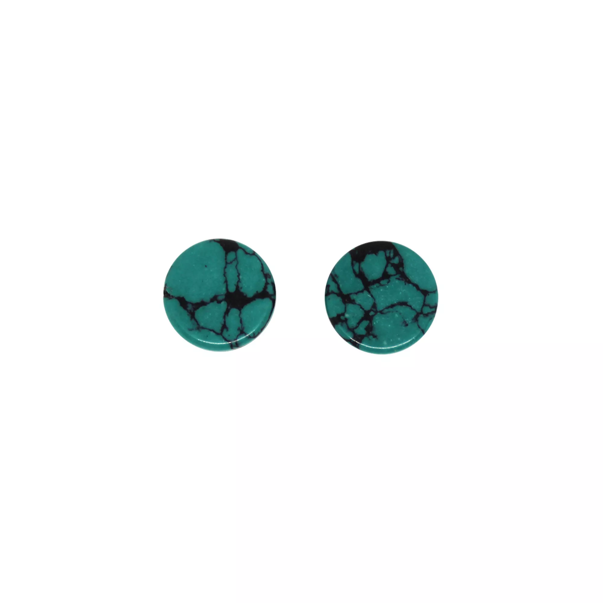 Turquoise-Effect Stone Plugs at Spencer's