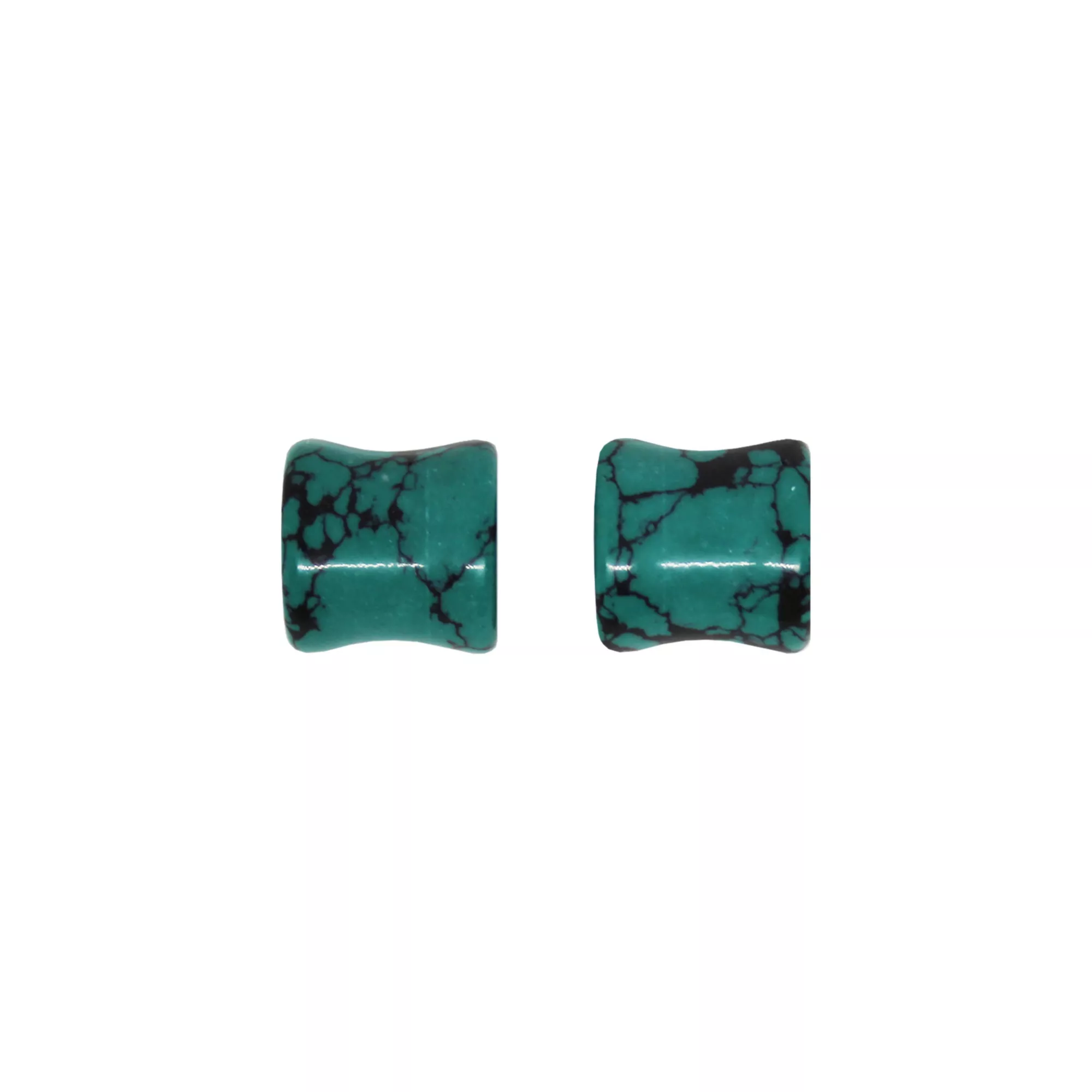 Turquoise-Effect Stone Plugs at Spencer's