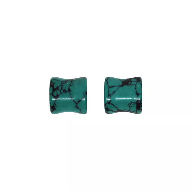 Turquoise-Effect Stone Plugs at Spencer's