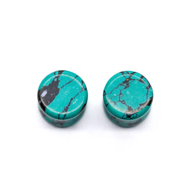 Turquoise-Effect Stone Plugs at Spencer's