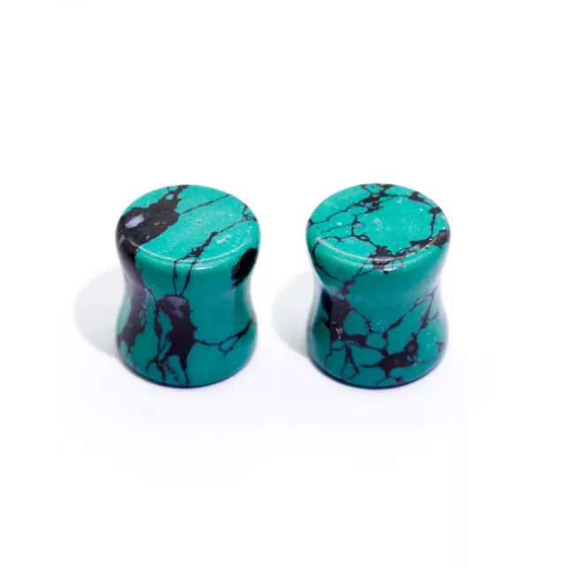 Turquoise-Effect Stone Plugs at Spencer's