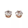 Round CZ Rose Gold Titanium Stud Earrings - 20 Gauge at Spencer's