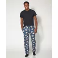 Avatar The Last Airbender Lounge Pants at Spencer's