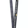 Ramen is Life Lanyard at Spencer's