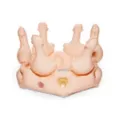 Inflatable Crown of Dicks at Spencer's