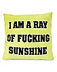 Ray of Fucking Sunshine Pillow