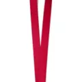 Elephant Lanyard at Spencer's