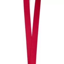 Elephant Lanyard at Spencer's