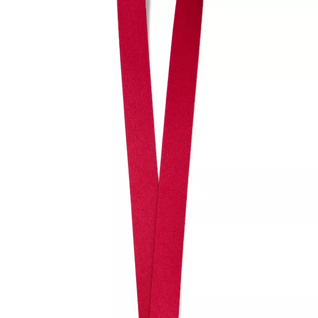 Elephant Lanyard at Spencer's
