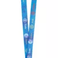 Chakra Lanyard at Spencer's