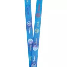 Chakra Lanyard at Spencer's