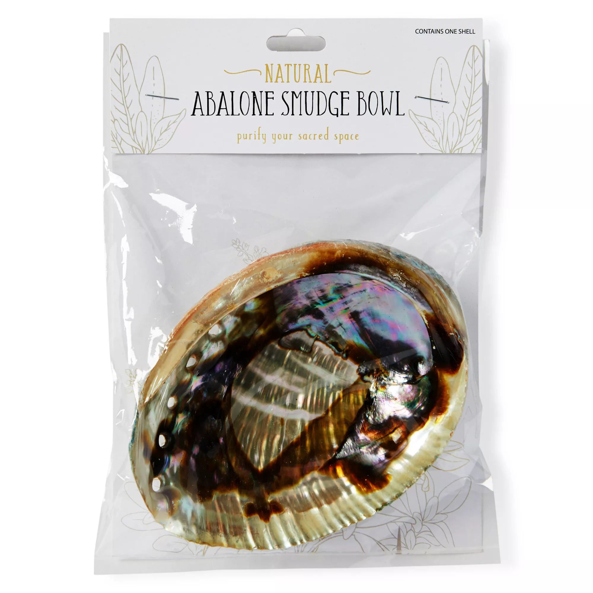 Abalone Shell Smudge Bowl