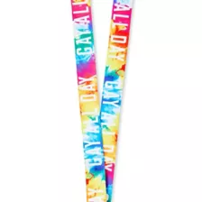 Gay All Day Lanyard at Spencer's