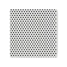 Same Penis Party Park at Spencer's