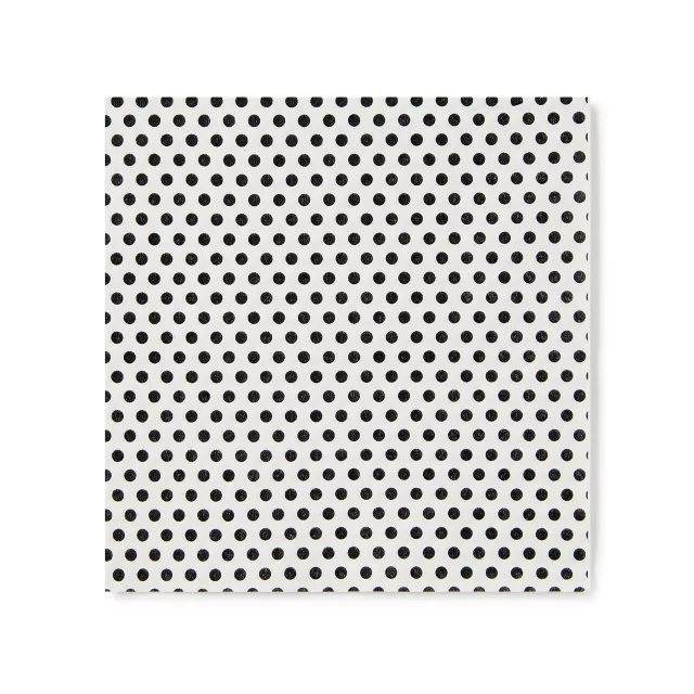 Same Penis Party Park at Spencer's