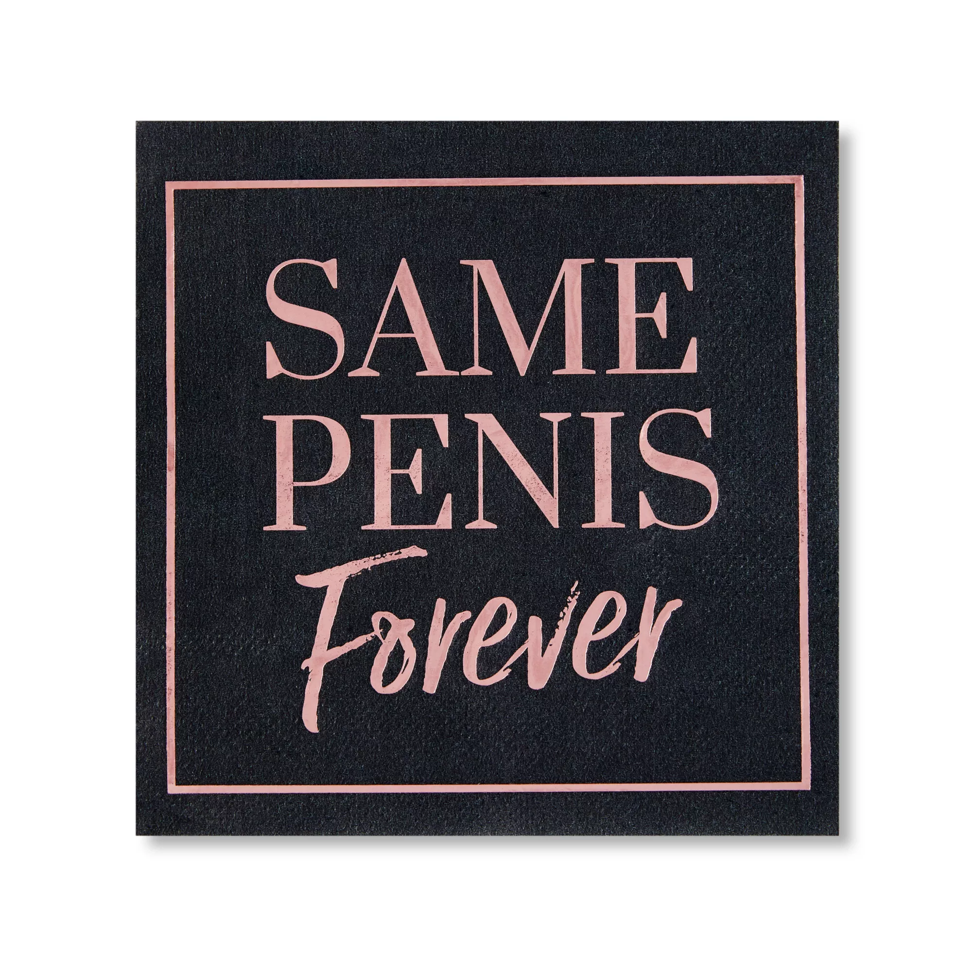 Same Penis Party Park at Spencer's