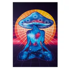 Mushroom Woman Tapestry at Spencer's