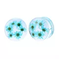 Blue Flower Resin Double Flare Plugs at Spencer's
