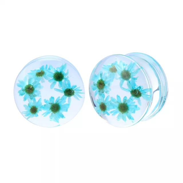 Blue Flower Resin Double Flare Plugs at Spencer's