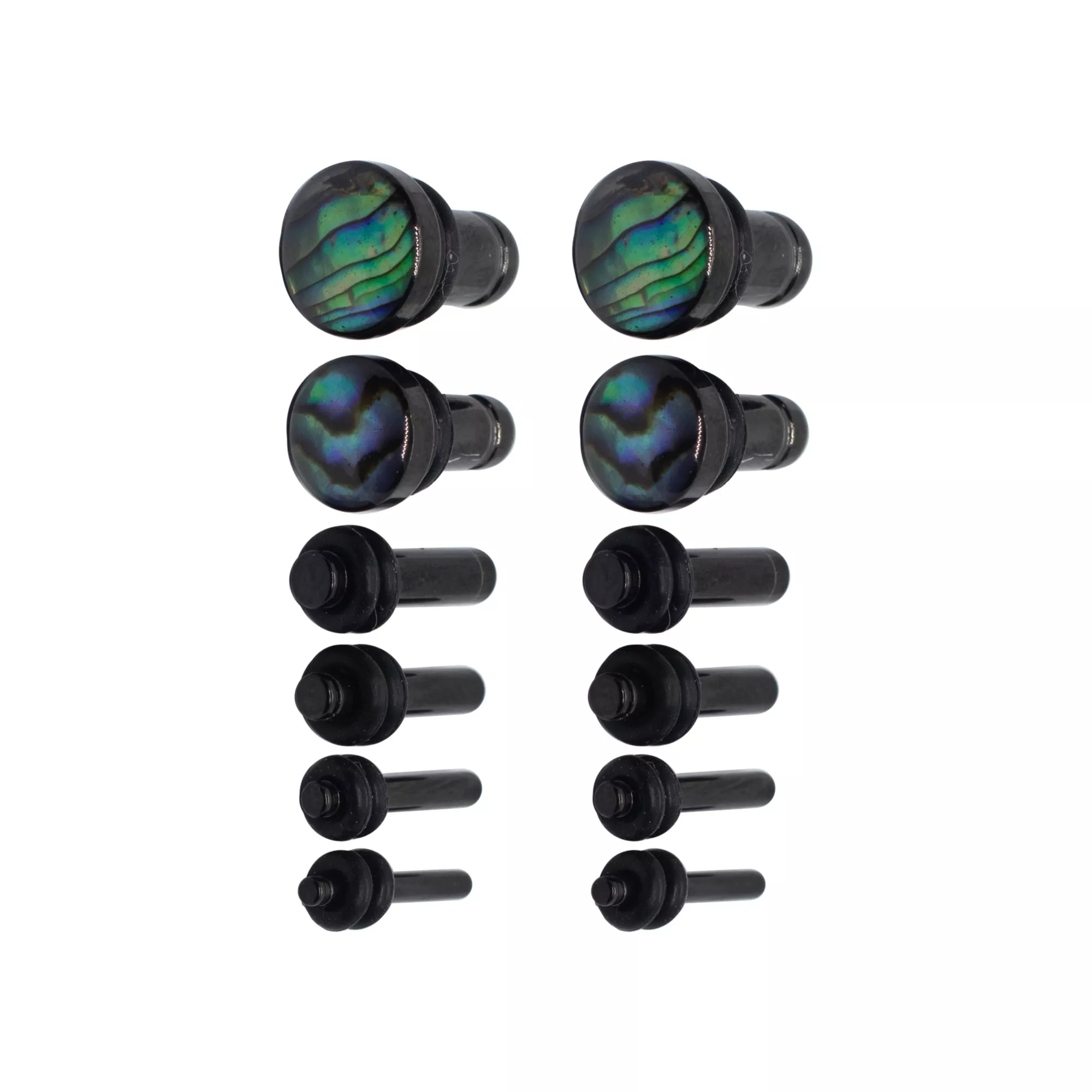 Multi-Pack Black Faux Abalone Plugs - 6 Pair at Spencer's