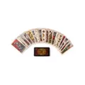Tarot Del Toro Tarot Cards and Guidebook at Spencer's
