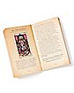 Tarot Del Toro Tarot Deck and Guidebook