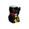 Black Cat Molded Shot Glass - 2 oz. at Spencer's