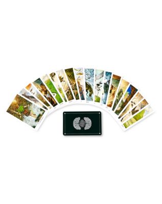 Wildwood Tarot Deck