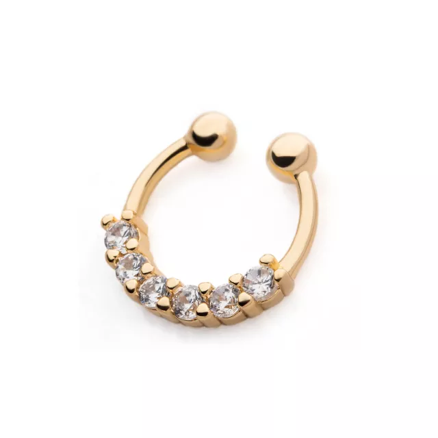 CZ Goldplated Fake Septum Ring at Spencer's