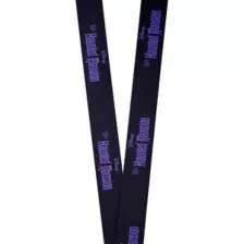 The Haunted Mansion Lanyard at Spencer's