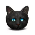 Black Cat Ashtray at Spencer's