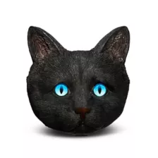 Black Cat Ashtray at Spencer's