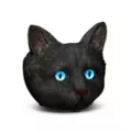 Black Cat Ashtray at Spencer's