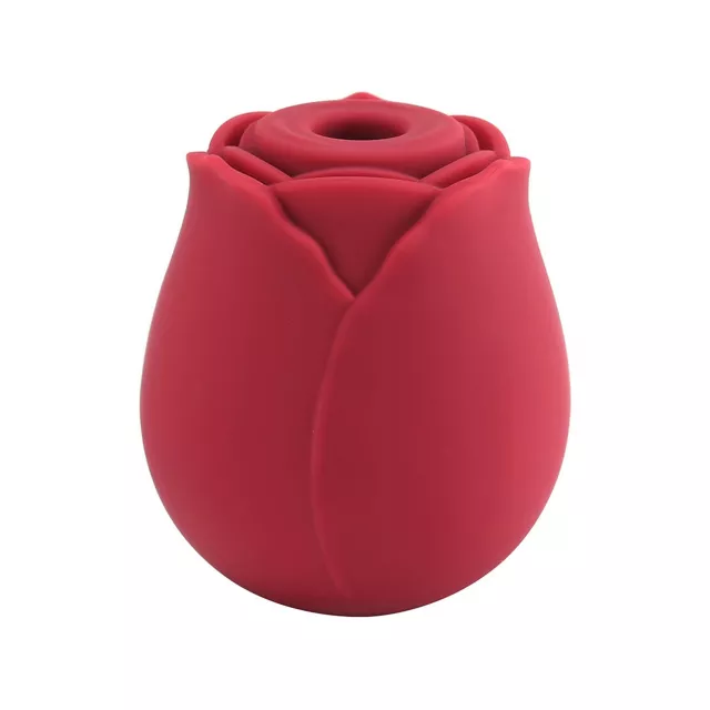 In Bloom 10-Function Rechargeable Clitoral Suction Vibrator 2.9 Inch - Hott Love