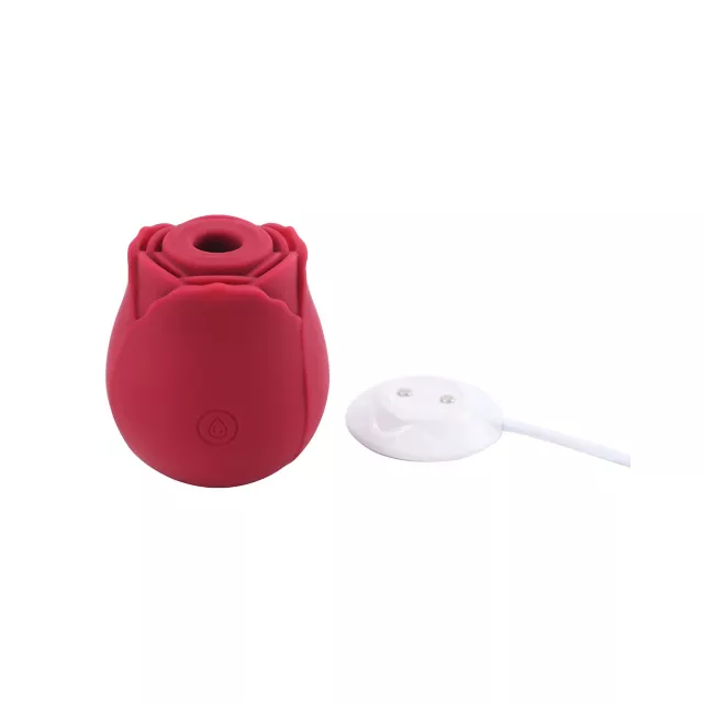 In Bloom 10-Function Rechargeable Clitoral Suction Vibrator 2.9 Inch - Hott Love at Spencer's